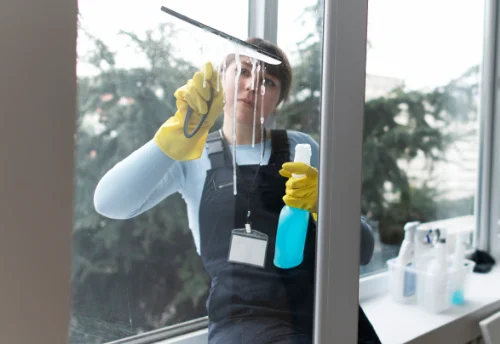 Nettoyage de vitres intérieures et extérieures à Digny